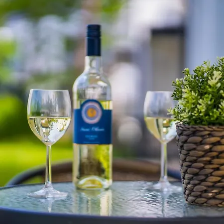 Gemini I., Iii. Daire *