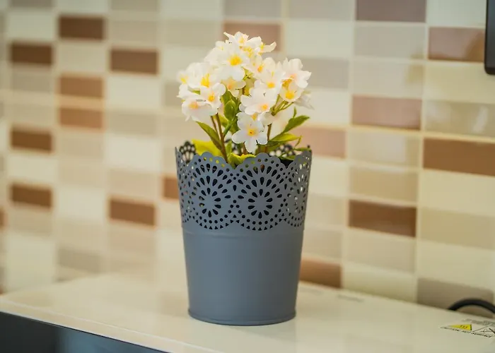 Gemini I., Iii. Διαμέρισμα