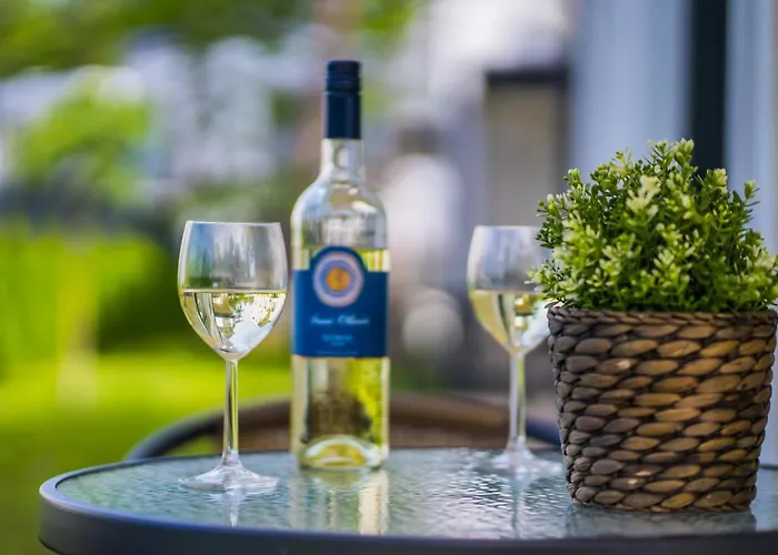 Gemini I., Iii. Διαμέρισμα *