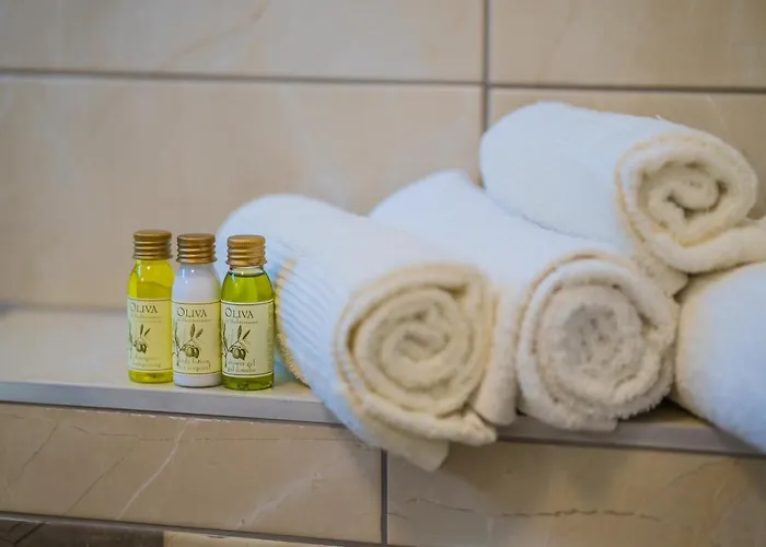 Gemini I., Iii. Διαμέρισμα *